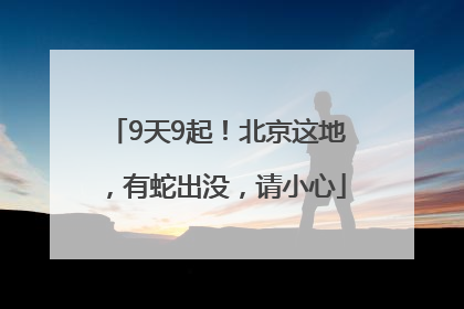 9天9起！北京这地，有蛇出没，请小心