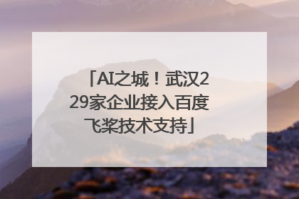 AI之城！武汉229家企业接入百度飞桨技术支持