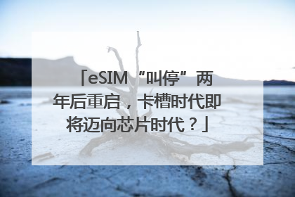 eSIM“叫停”两年后重启，卡槽时代即将迈向芯片时代？